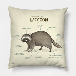 Anatomy of a Raccoon Pillow