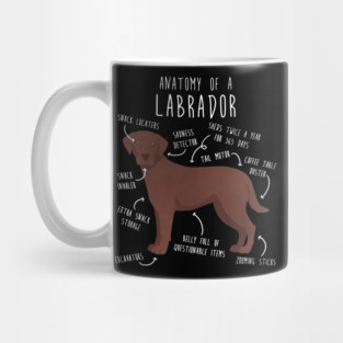 Chocolate Labrador Retriever Dog Anatomy Mug