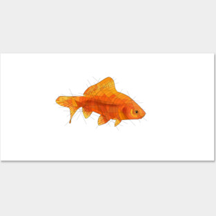 Goldfish Posters and Art