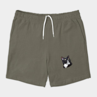 Tuxedo Cat Shorts