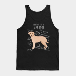 Yellow Labrador Retriever Dog Anatomy Tank Top