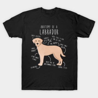 Yellow Labrador Retriever Dog Anatomy T-Shirt