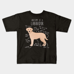 Yellow Labrador Retriever Dog Anatomy Kids T-Shirt