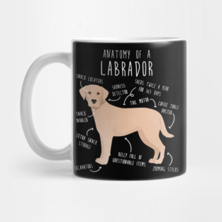 Yellow Labrador Retriever Dog Anatomy Mug