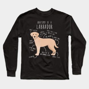 Yellow Labrador Retriever Dog Anatomy Long Sleeve T-Shirt