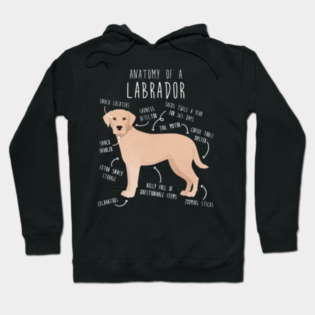 Yellow Labrador Retriever Dog Anatomy Hoodie by Psitta