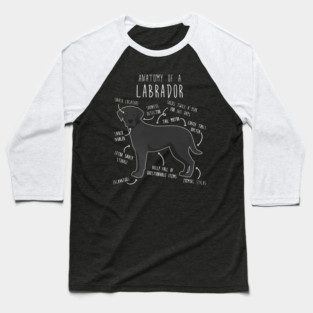 Black Labrador Retriever Dog Anatomy Baseball T-Shirt