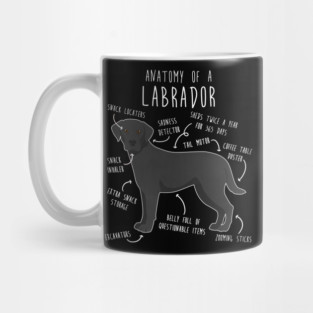 Black Labrador Retriever Dog Anatomy Mug