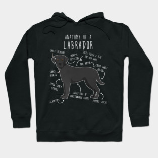 Black Labrador Retriever Dog Anatomy Hoodie