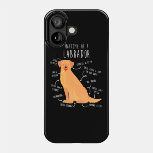 Yellow Labrador Retriever Dog Anatomy Phone Case