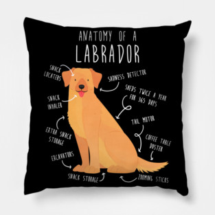 Yellow Labrador Retriever Dog Anatomy Pillow