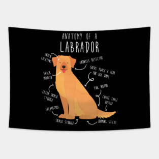 Yellow Labrador Retriever Dog Anatomy Tapestry