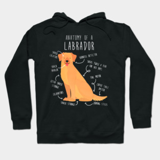 Yellow Labrador Retriever Dog Anatomy Hoodie