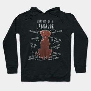 Chocolate Labrador Retriever Dog Anatomy Hoodie