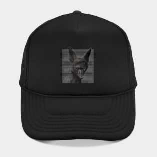 Hyena Hat