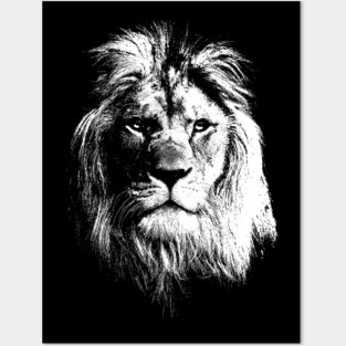 Lion Posters and Art