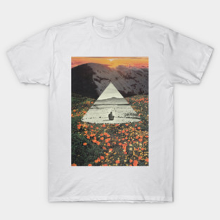 Harmony with flowers T-Shirt