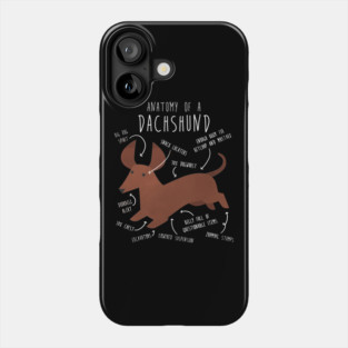 Red Dachshund Dog Anatomy Phone Case