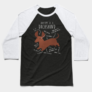 Red Dachshund Dog Anatomy Baseball T-Shirt
