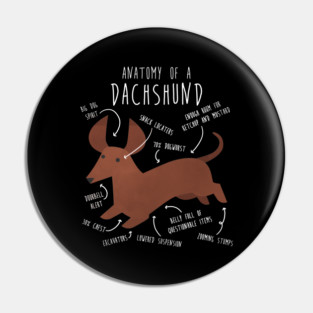Red Dachshund Dog Anatomy Pin