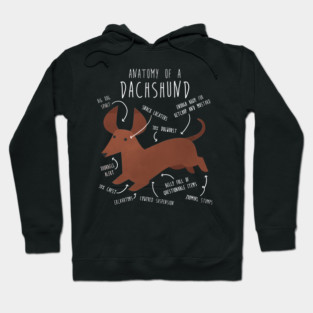 Red Dachshund Dog Anatomy Hoodie