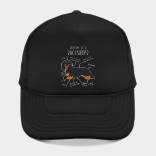 Black and Tan Longhaired Dachshund Dog Anatomy Hat