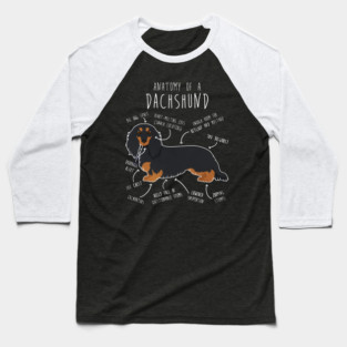 Black and Tan Longhaired Dachshund Dog Anatomy Baseball T-Shirt