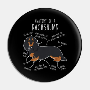 Black and Tan Longhaired Dachshund Dog Anatomy Pin
