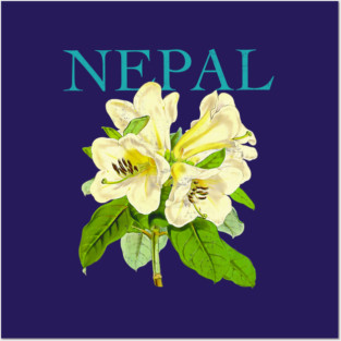 Nepal Botanical Illustration Posters and Art