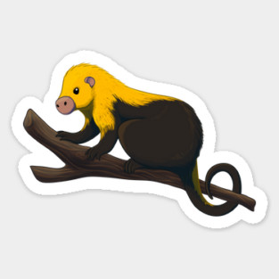 Dwarf Porcupine Magnet