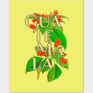 Guatemala Vintage Botanical Illustration Posters and Art