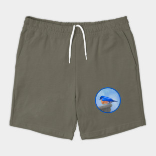 Bluebird Shorts