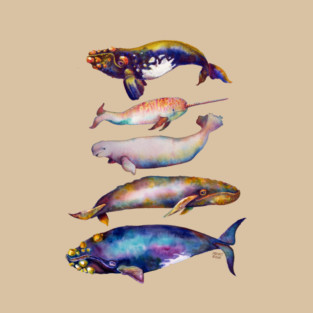 Watercolor Whales - Fifth Pyramid T-Shirt