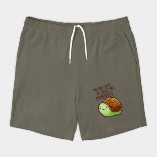 This Tiny Turtle Judges You... Shorts