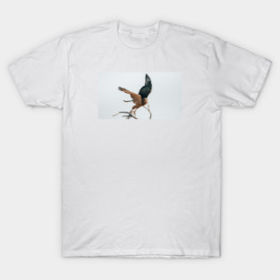 Hawk T-Shirt