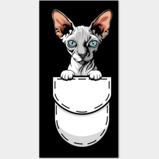 Funny Sphynx Pocket Cat Posters and Art