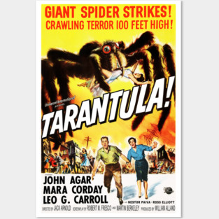 Tarantula Posters and Art