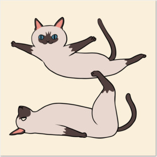 Acroyoga Siamese Cat Posters and Art