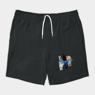 Cats and Big Cats Motivational Motivational Shorts