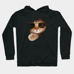 Funny Cat ripping through, Cat Lover Hoodie