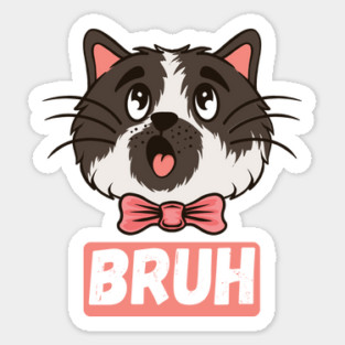 Adorable Cat Bruh Sarcastic Sayings Gift Sticker