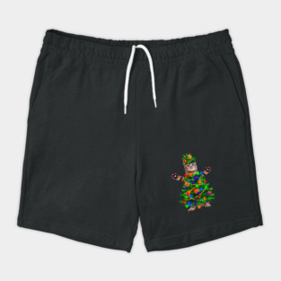 Funny Cat, Xmas Lights, Christmas Kitten Shorts