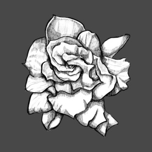 Ink - Gardenia T-Shirt