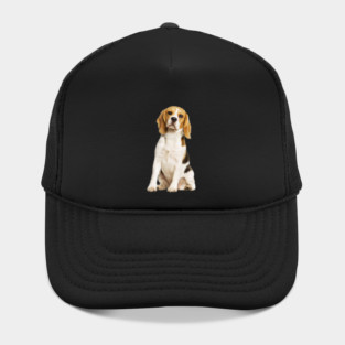 Beagle Dog, Love Beagle Dogs Hat