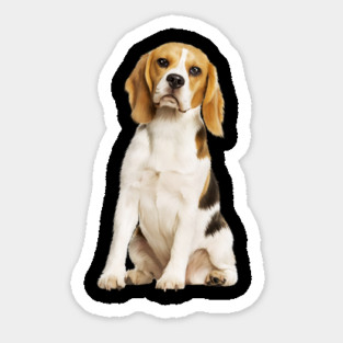 Beagle Dog, Love Beagle Dogs Sticker