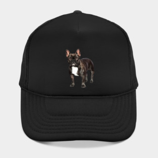 French Bulldog, Frenchie Lover, French Bulldogs Hat