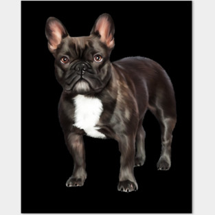 French Bulldog, Frenchie Lover, French Bulldogs Posters and Art