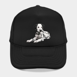 Dalmatian Dog, Love Dalmatians Hat