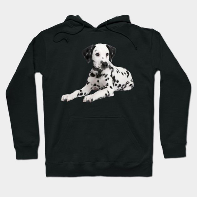 Dalmatian Dog, Love Dalmatians Hoodie by logiamerch