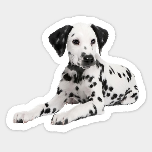 Dalmatian Dog, Love Dalmatians Sticker by logiamerch